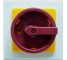 32A 3 Pole Rotary Isolator Switch IP65